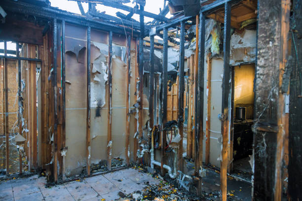 Professional Fire Damage Removal technician working in South Floral Park, NY